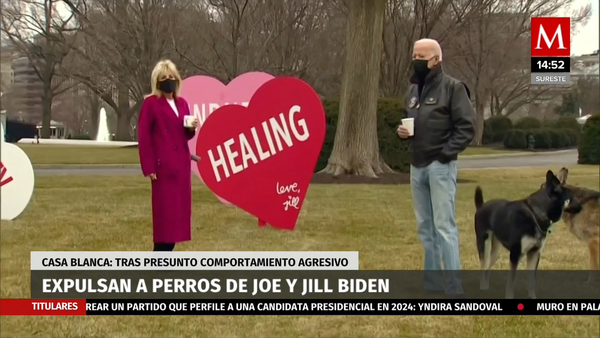 Por "incidente de mordedura", retiran a perros de Biden de la Casa Blanca: reportes
