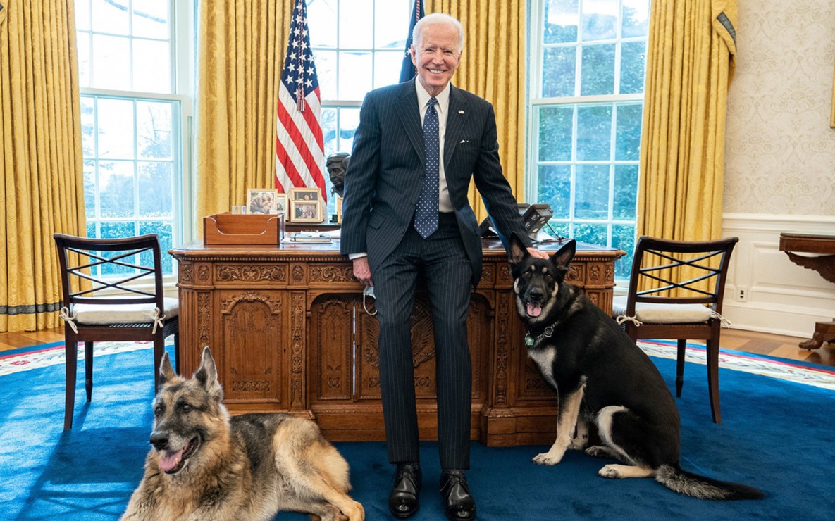 Joe Biden junto a Champ, en la izquierda, y Major, a la derecha. | Instagram @schultzinit, fotógrafo de la Casa Blanca