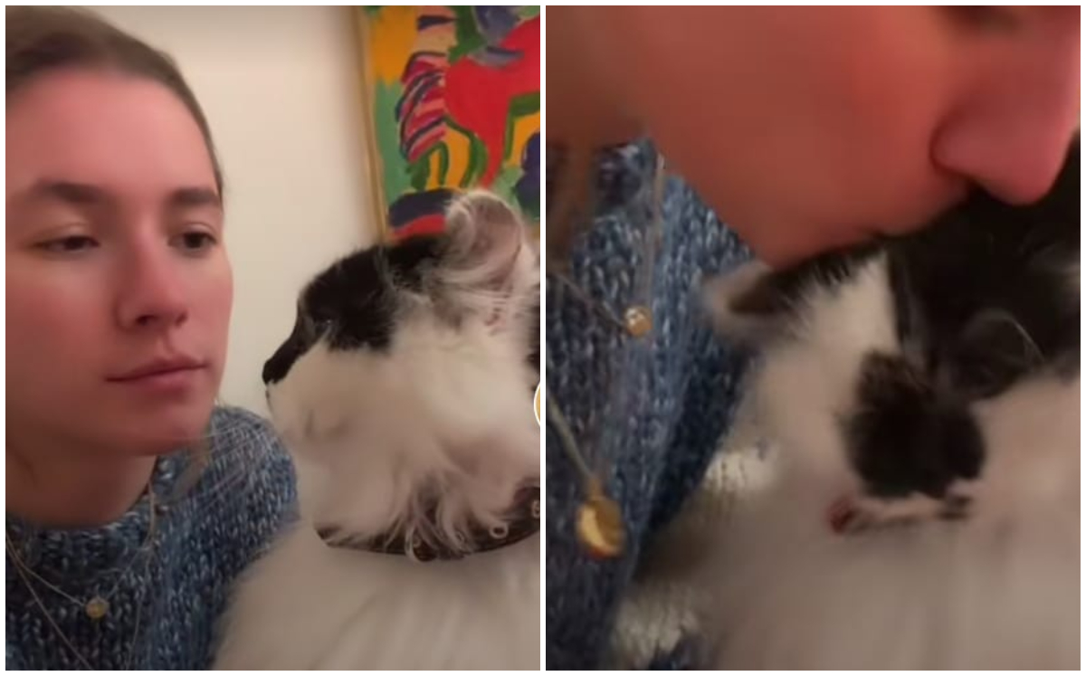 Joven sorprende a su gato con un beso y su inesperada reacción se hace viral (Captura)