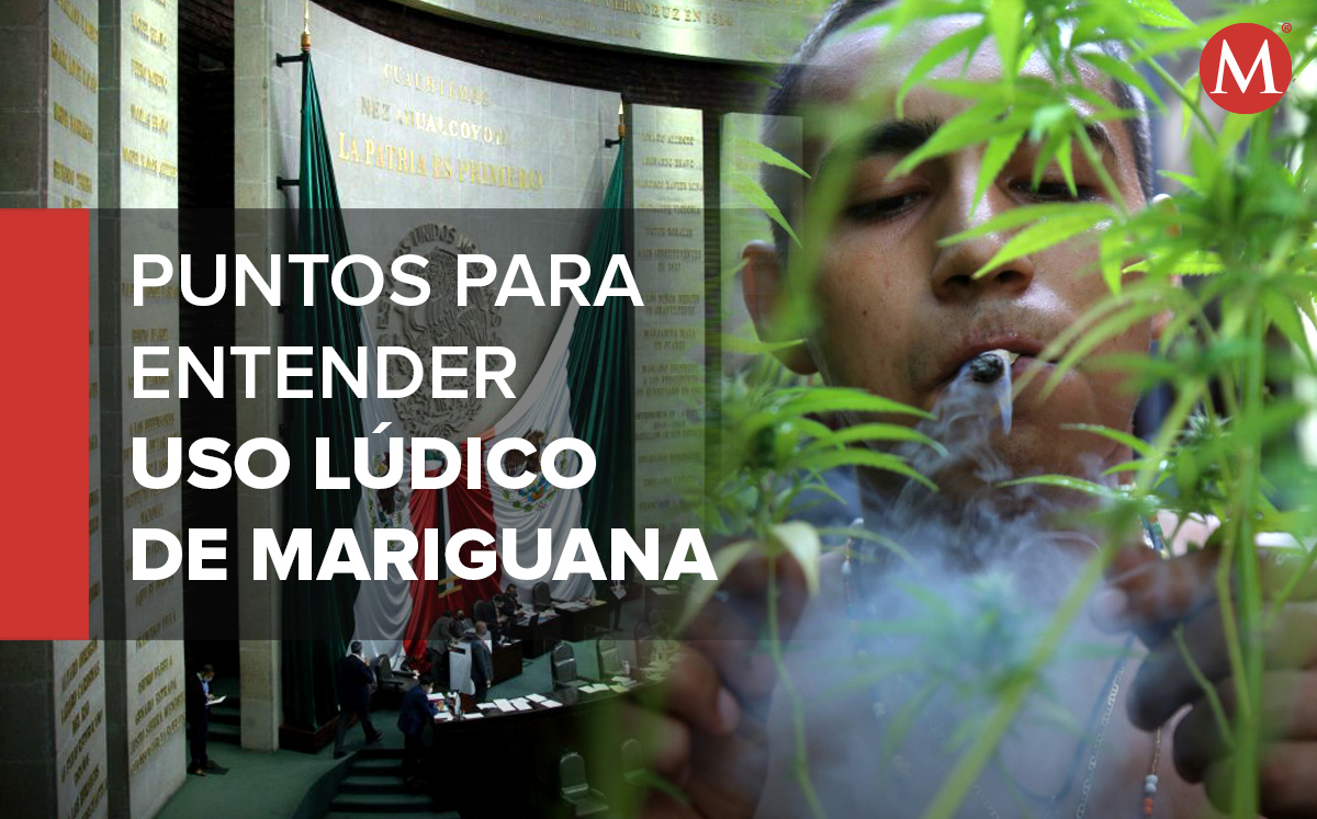 Los 12 puntos que debes conocer sobre la Ley Federal para la Regulación del Cannabis. | Cuartoscuro/Diseño: Oscar Ávila