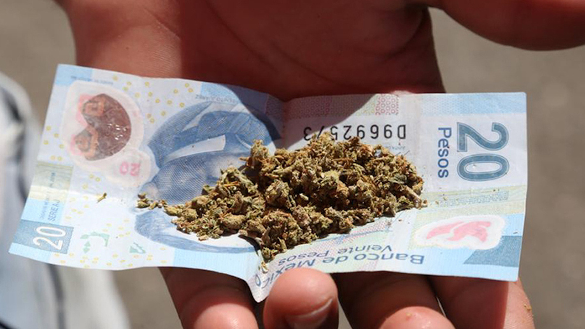 Diputados aprueban en lo general regulación de uso lúdico de mariguana
