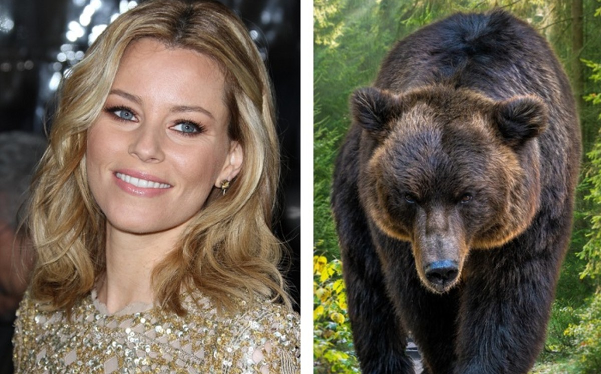 Elizabeth Banks dirigirá esta cinta. (Shutterstock)