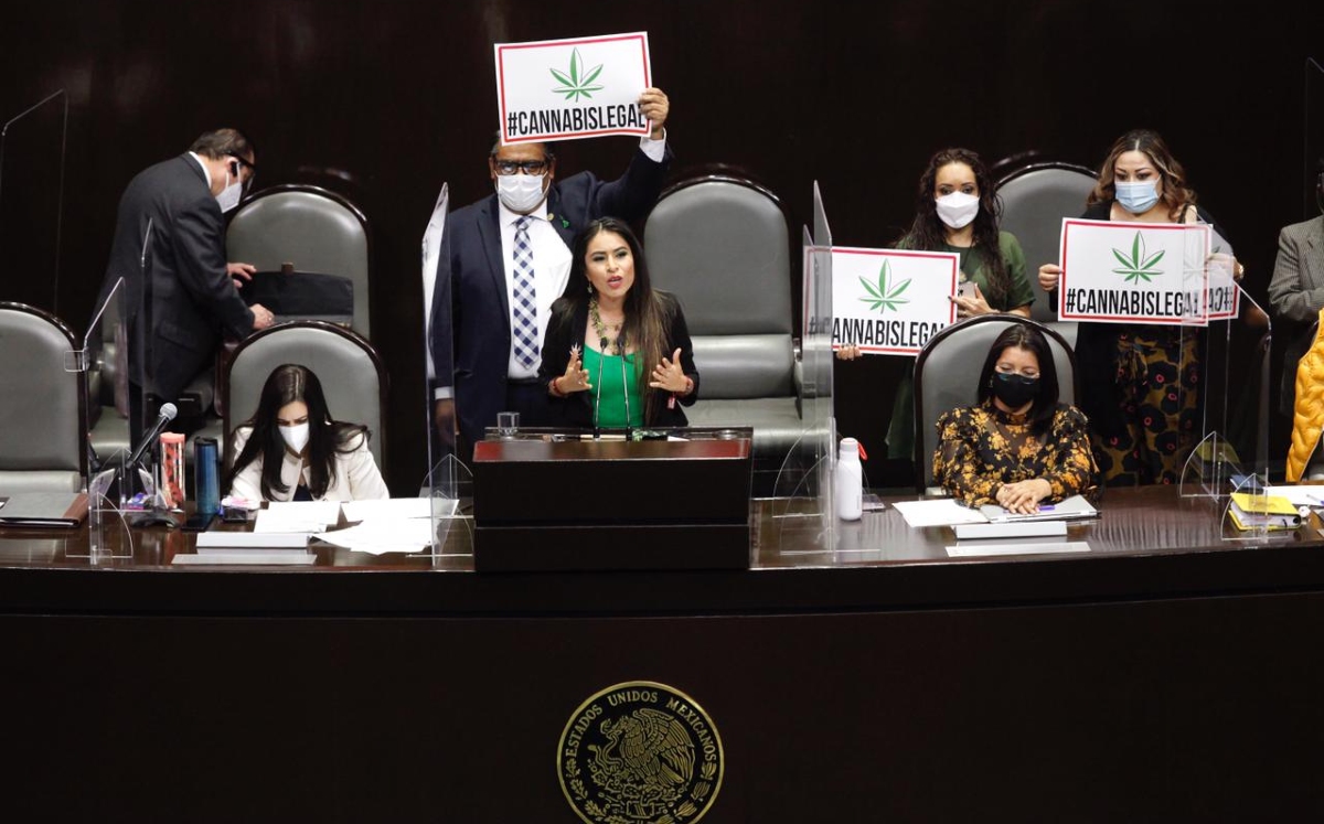 Simey Olvera, diputada de Morena. (Especial)