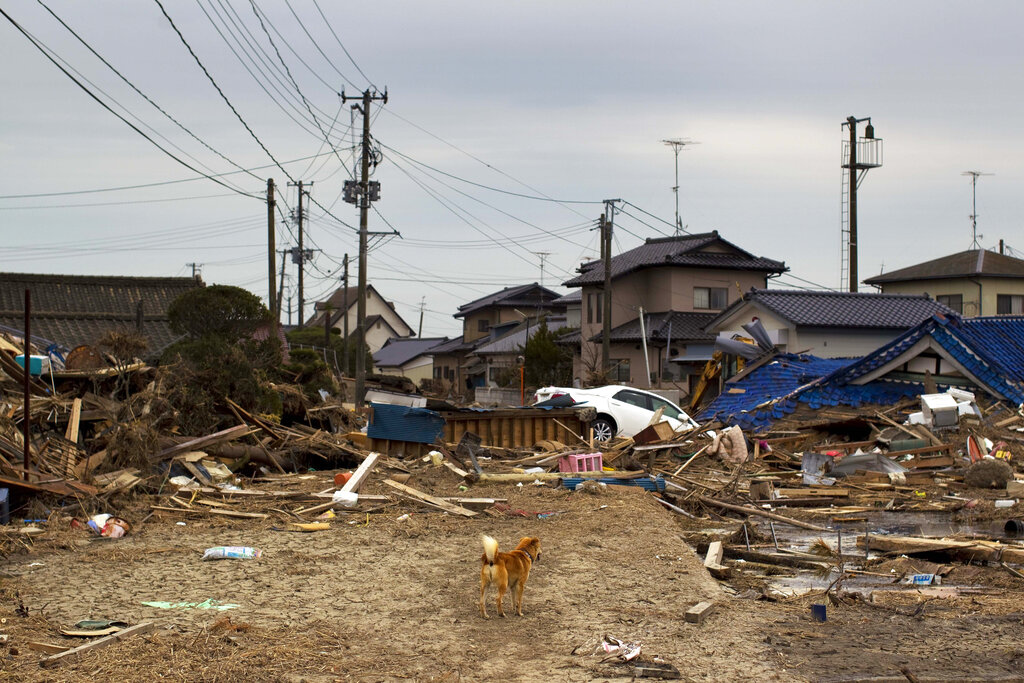 El sismo generó grandes afectaciones en la región norte de Japón. (AP / Archivo)