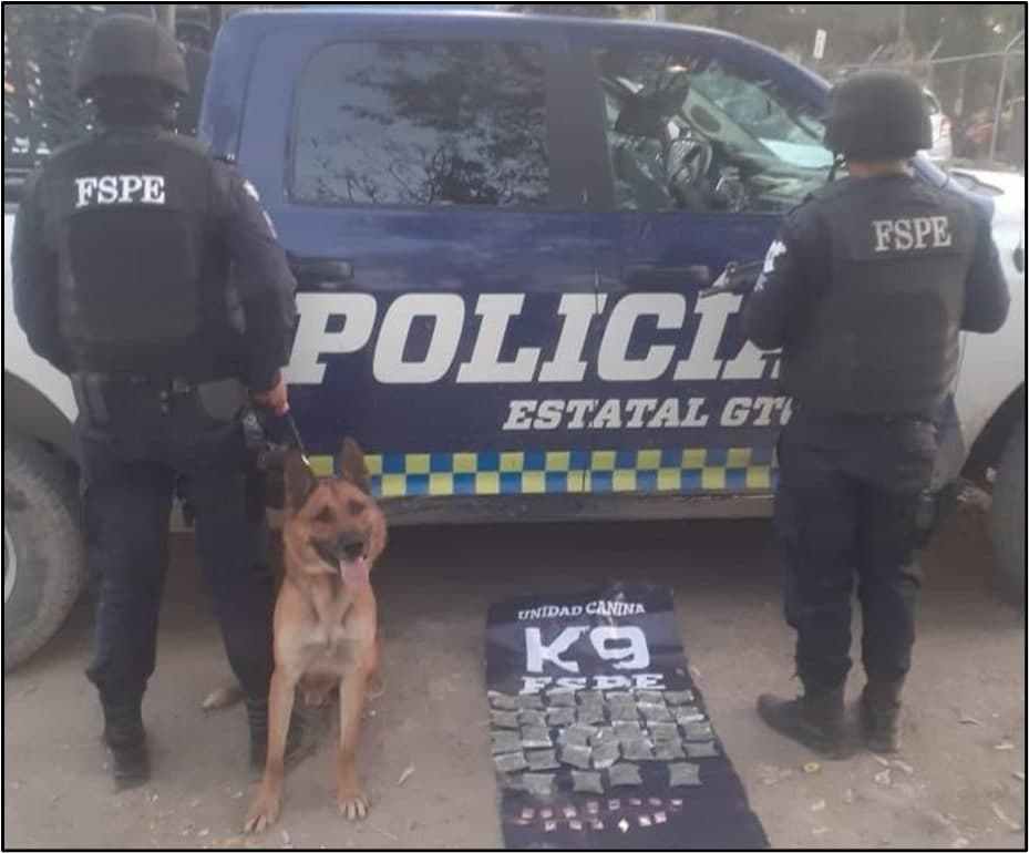 Unidad Canina K9 de las FSPE asegura en León más de 300 dosis de droga