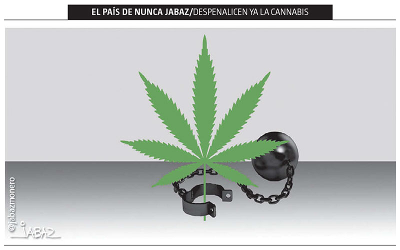 Despenalicen ya la cannabis