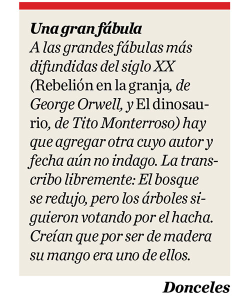 Donceles.