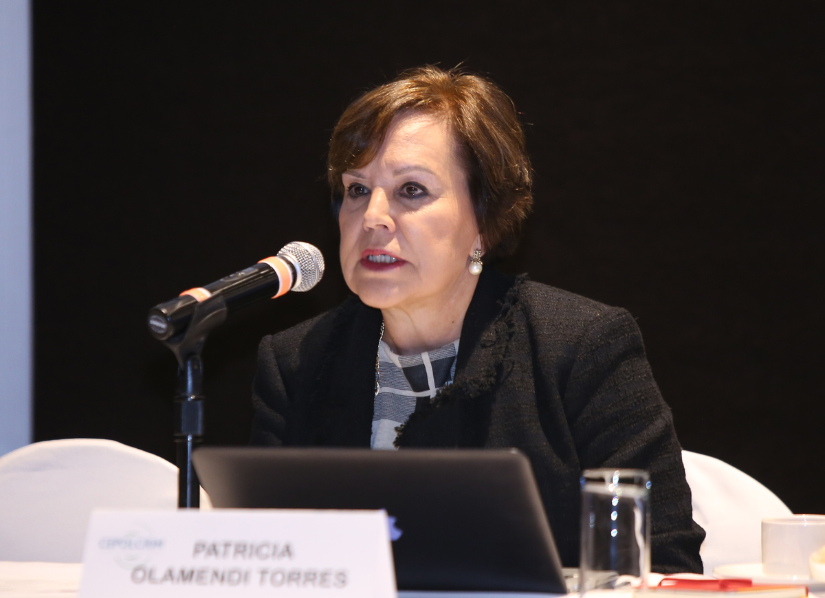 Patricia Olamendi, defensora de los derechos humanos. (Juan Carlos Bautista)