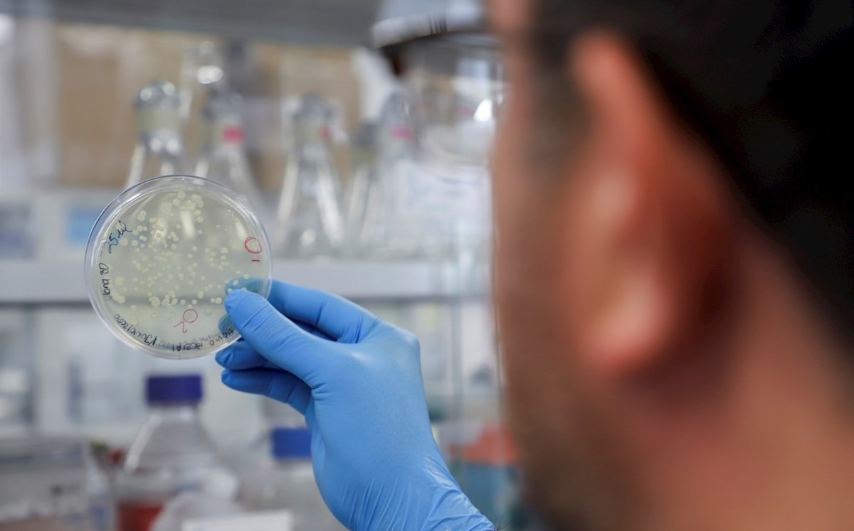 QUIVAX, la prometedora vacuna mexicana que puede servir contra variantes de covid-19. (EFE)
