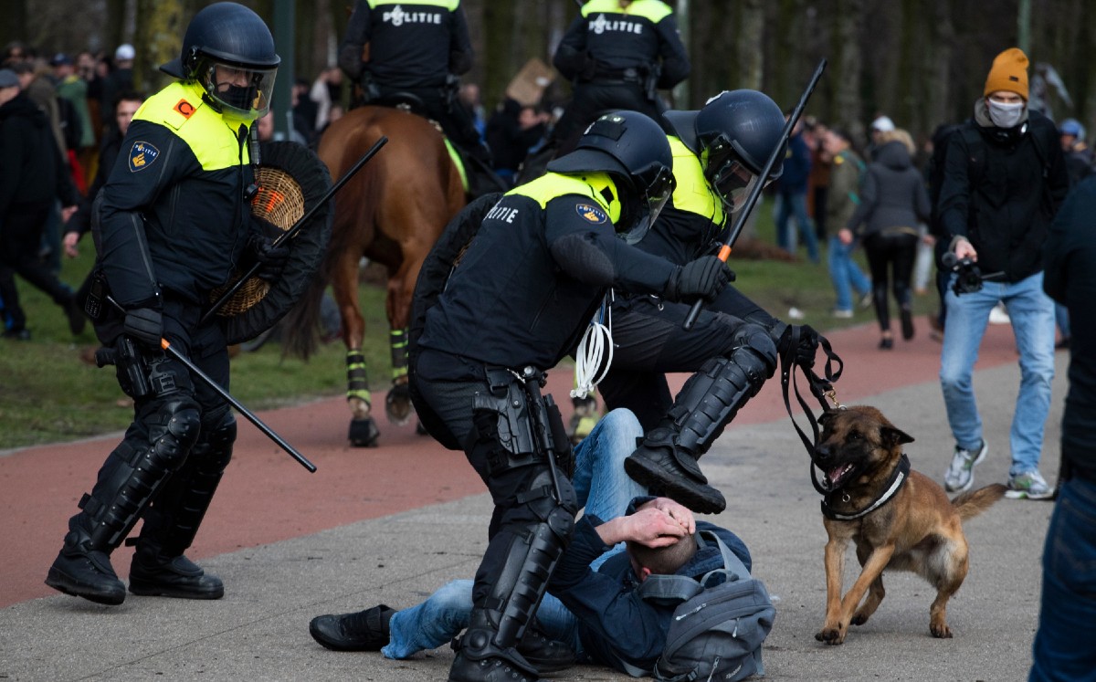 Un perro policía mordió a un individuo que estaba siendo detenido. | AP