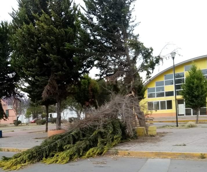 También se registró en otros municipios como Tultitlán. (Especial)