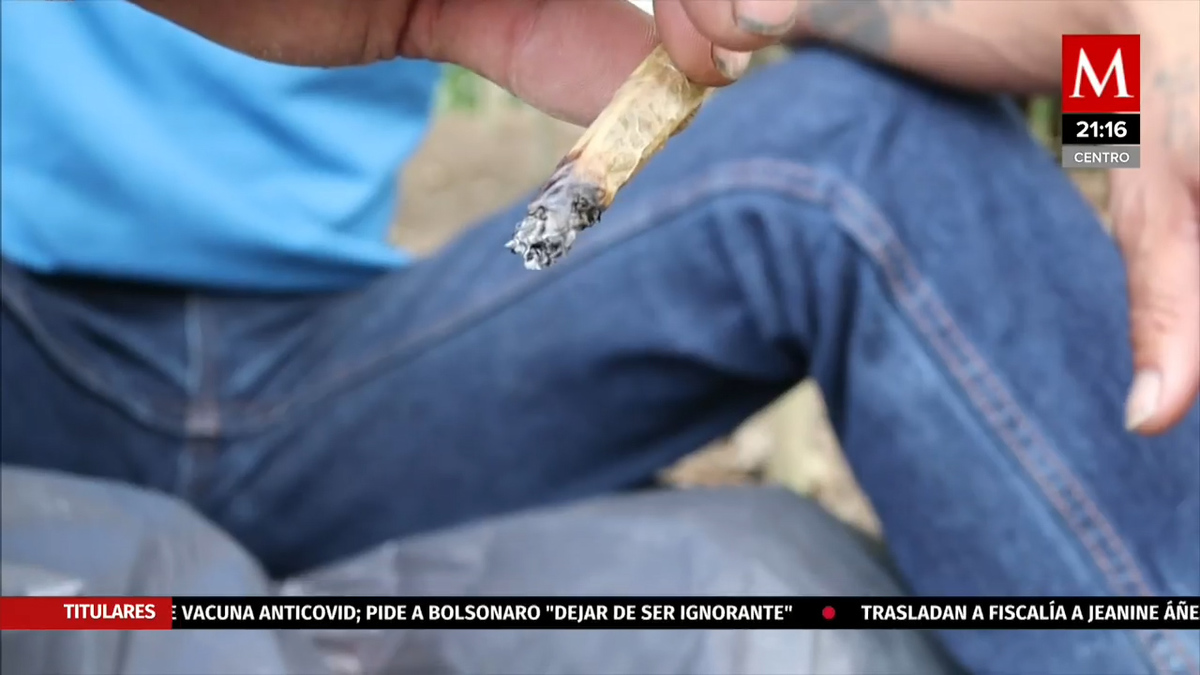 Plantón 420, un espacio de resistencia para exigir la legalización de la mariguana