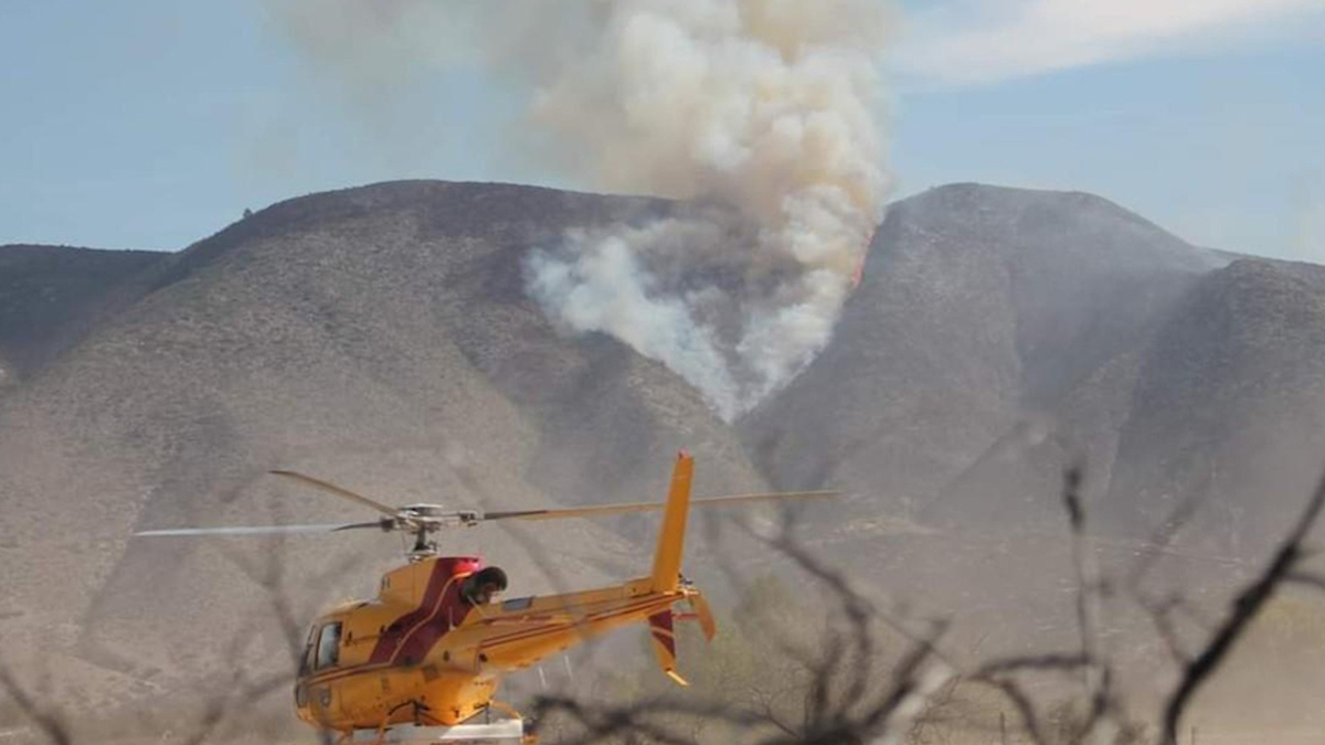 Por tercer día, combaten incendios forestales en Galeana