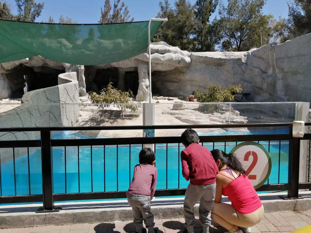 Durante fin de semana largo Zoológico de León recibió la visita de miles de turistas