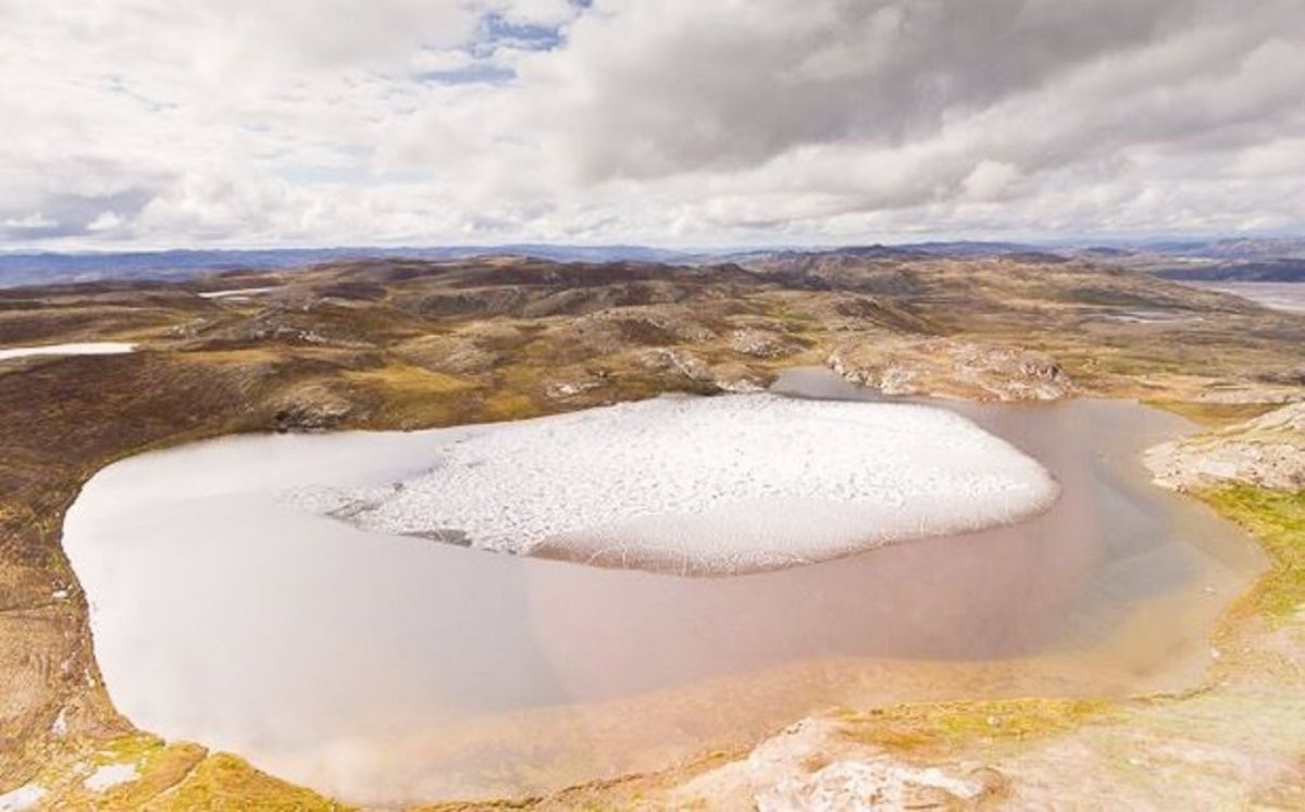 Fósiles de plantas a 1500 metros bajo el hielo de Groenlandia (DPA)