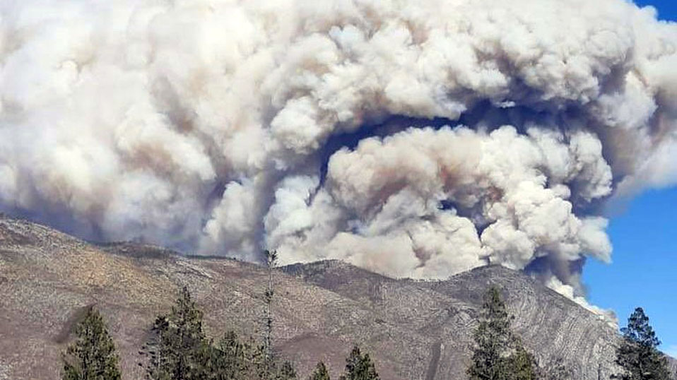 Fuerte incendio consume sierra de Artega, Coahuila