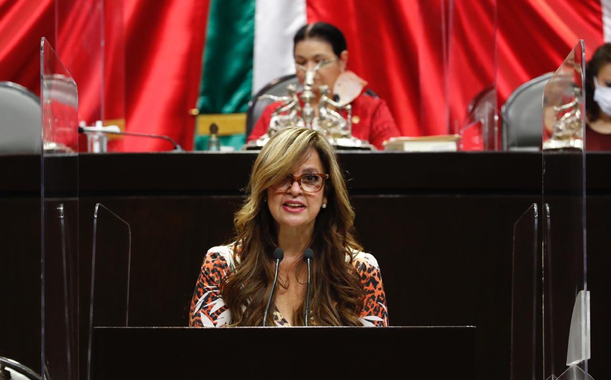 Casi 31 millones mujeres han enfrentado violencia de cualquier tipo alguna vez en su vida, aseguró Villavicencio. | Twitter