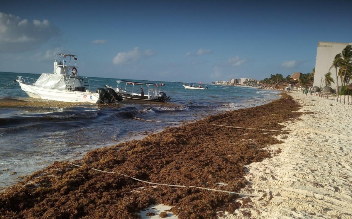 Turistas difunden fotos de playas de Quintana Roo con sargazo. (Especial)