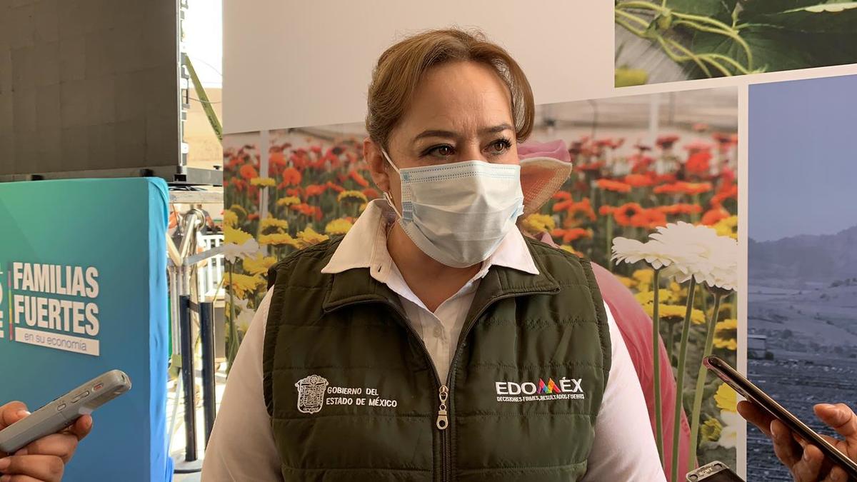 “El 95 por ciento es maíz, hay gente quien siembra avena". (Especial)