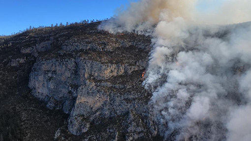 Coahuila declara emergencia por incendio en Arteaga; van 3 comunidades desalojadas