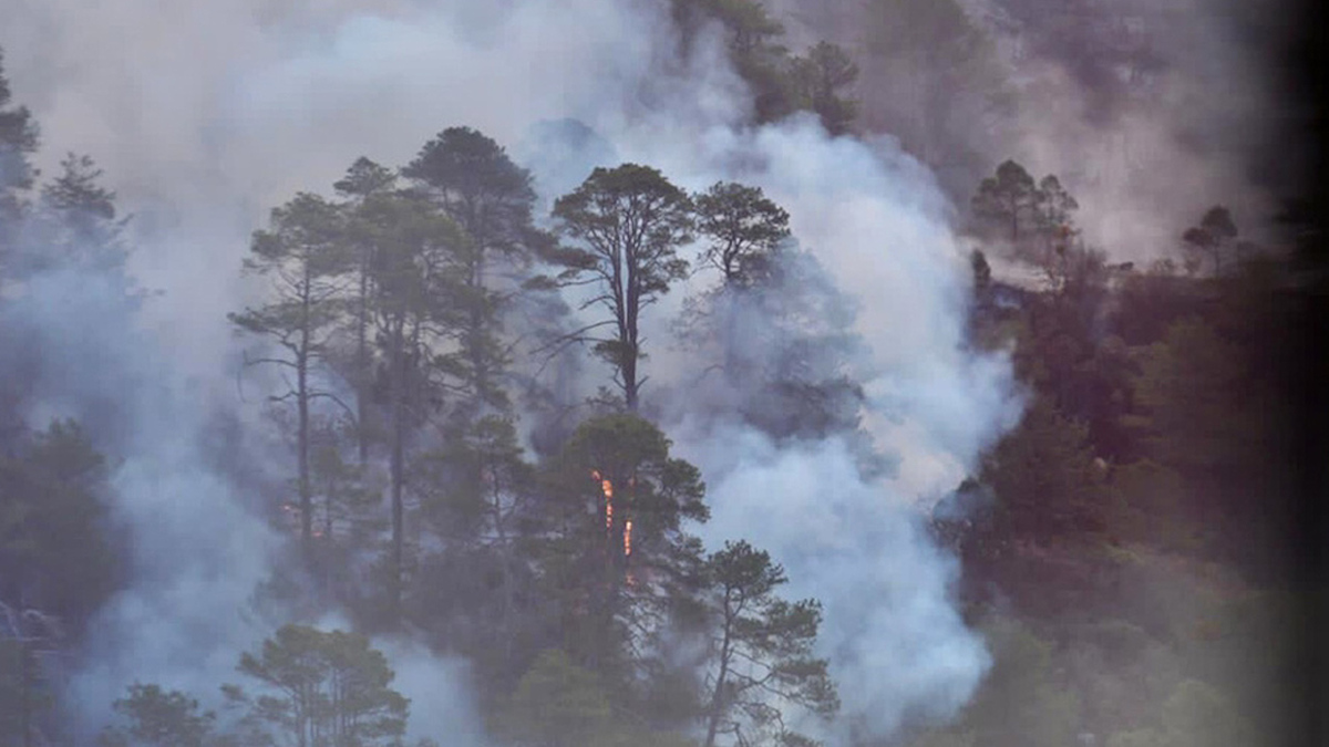 Clima permite a brigadistas operaciones al 100% en la Sierra de Arteaga