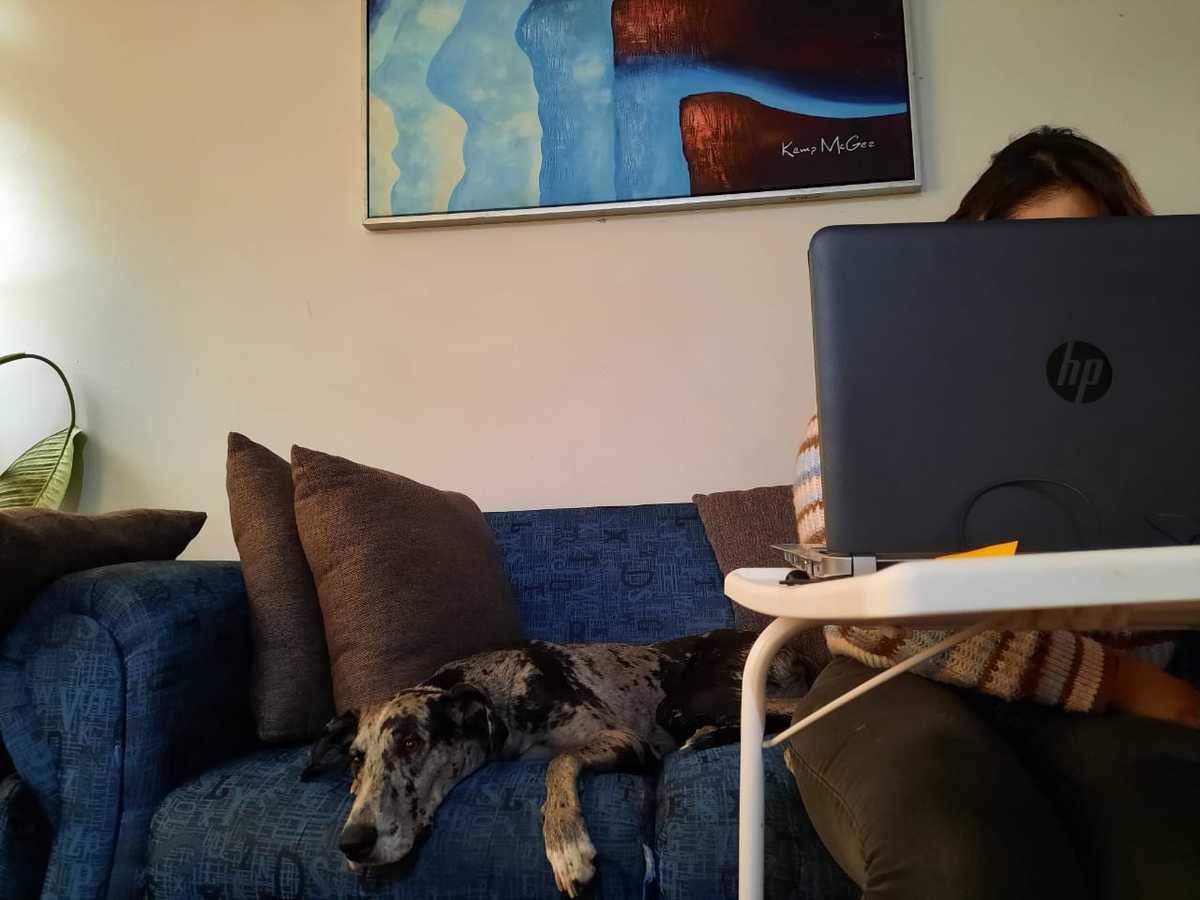 Durante las largas jornadas de trabajo, tu mascota siempre ha estado a tu lado. (Cortesía)