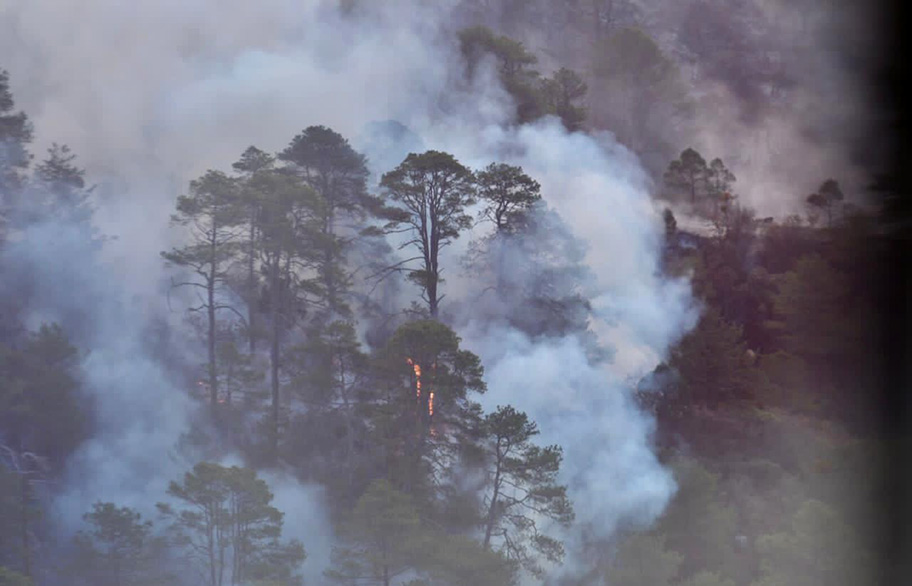 Incendio en Arteaga, Coahuila. (Especial)