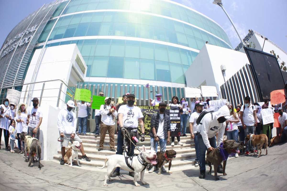 Realizan caminata canina para exigir justicia por feminicidio. (Andrés Lobato)
