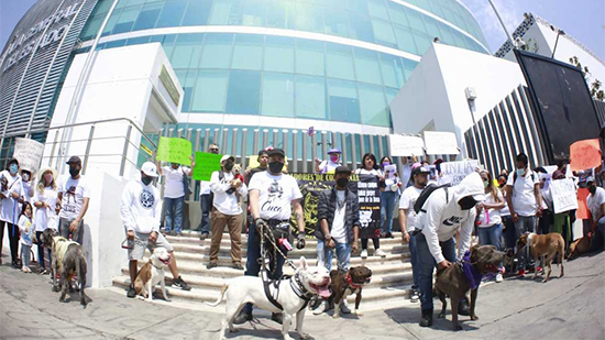 Realizan caminata canina para exigir justicia por feminicidio de María Monserrat