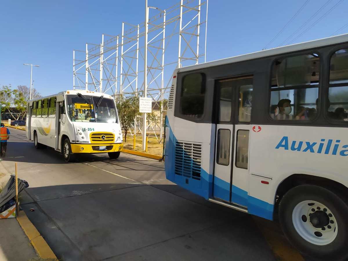 En León perciben mejora en transporte público tras aumento de unidades