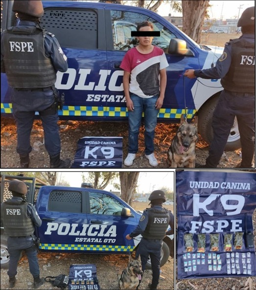 Sacan de las calles de Guanajuato casi 200 mil dosis de drogas