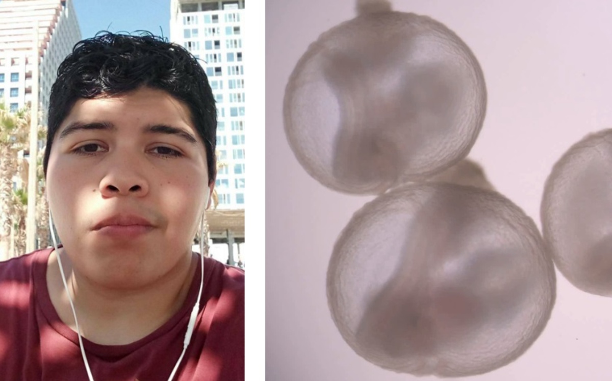 Alejandro es uno de los autores principales de la investigación. (Facebook/Aguilera Castrejon Et Al., Nature 2021)