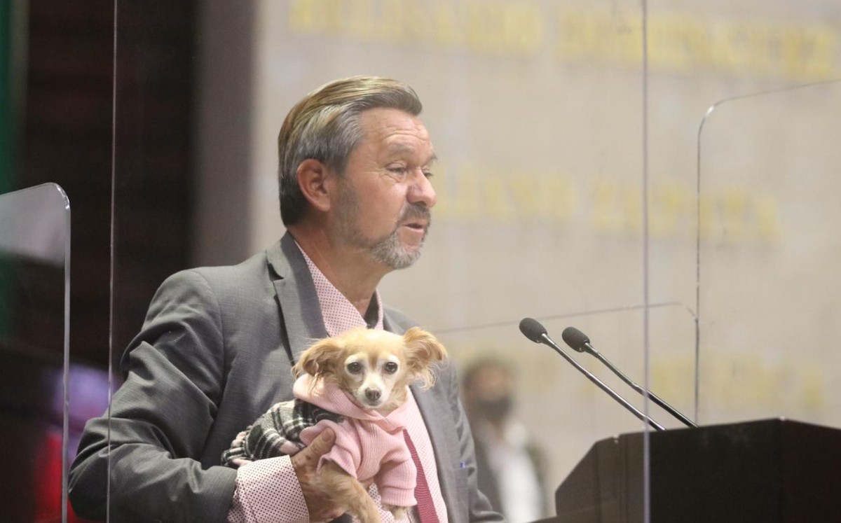 El dictamen fue turnado al Senado para su análisis y eventual ratificación. | Especial