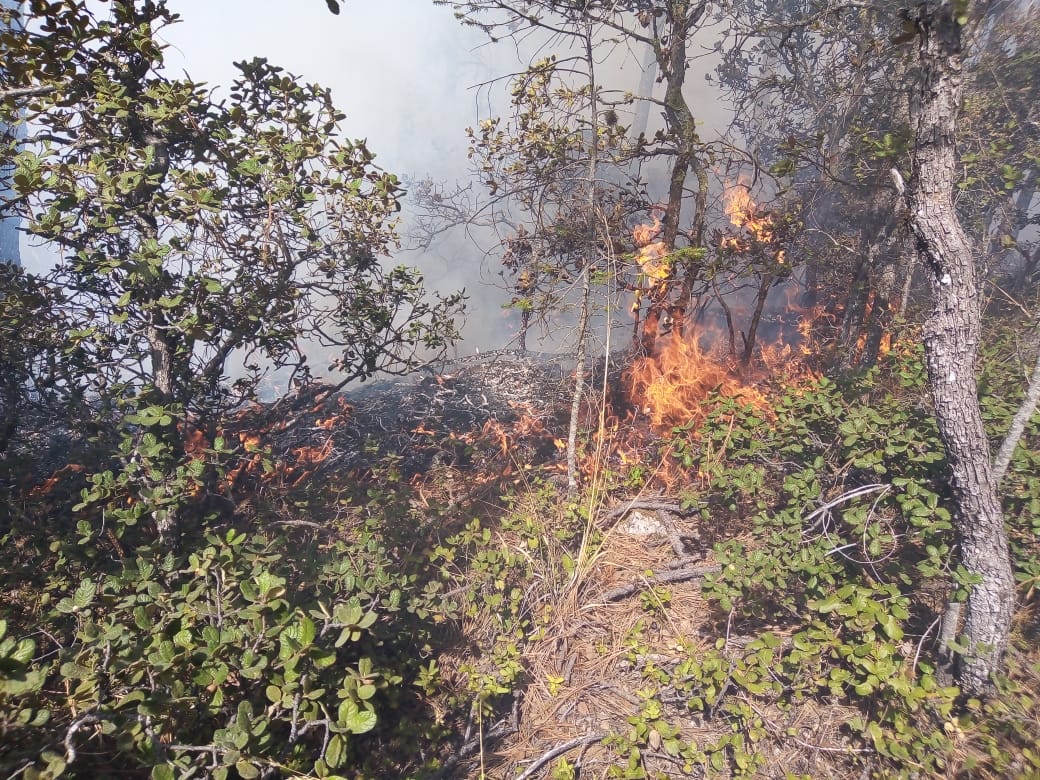 En la región Sureste de Coahuila se encuentran activos dos incendios. (Especial)