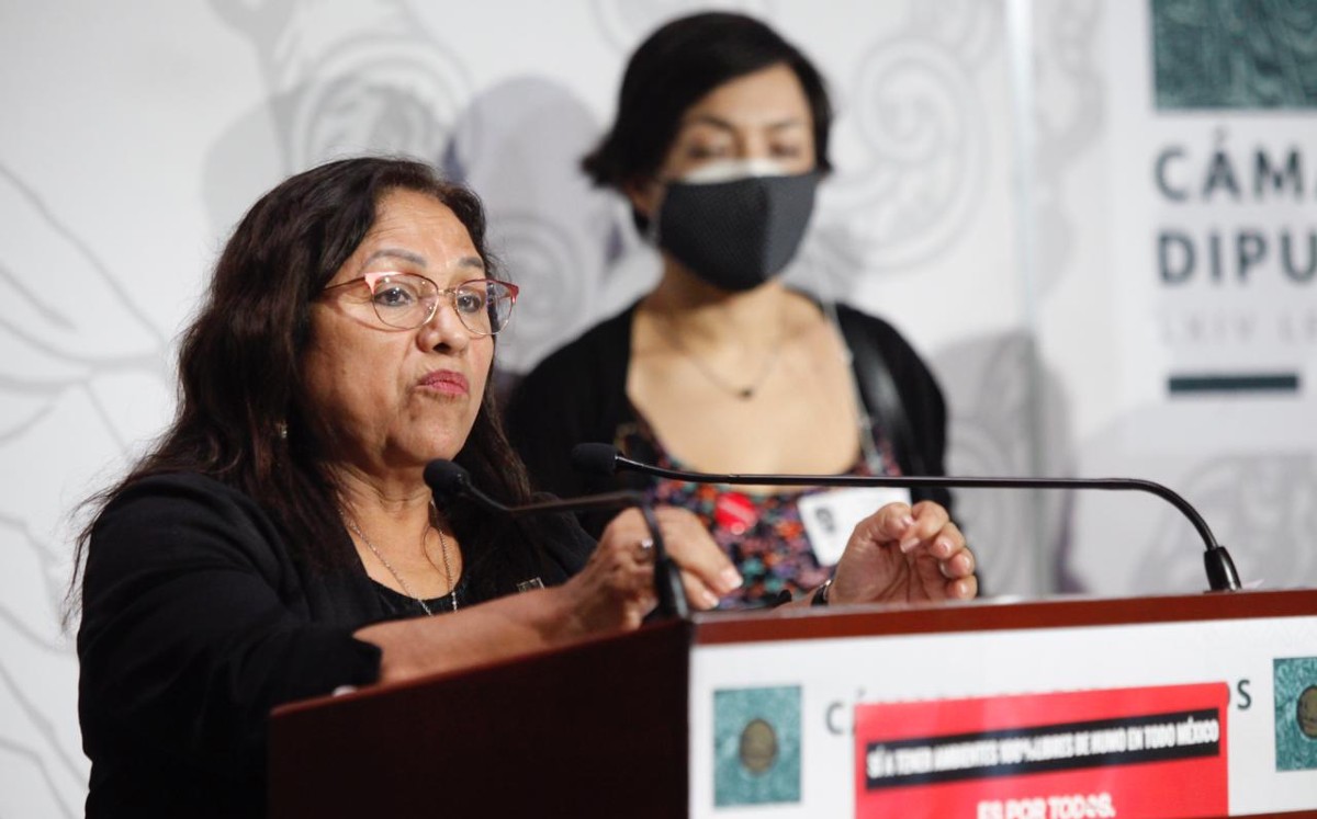 Carmen Medel, presidenta de la Comisión de Salud en la Cámara de Diputados. | Especial
