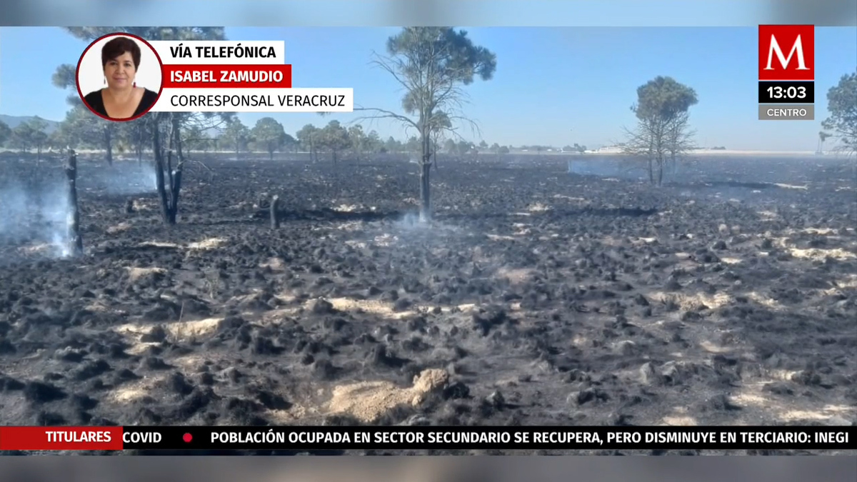 Ejercito trabajan en combate contra incendio en Perote