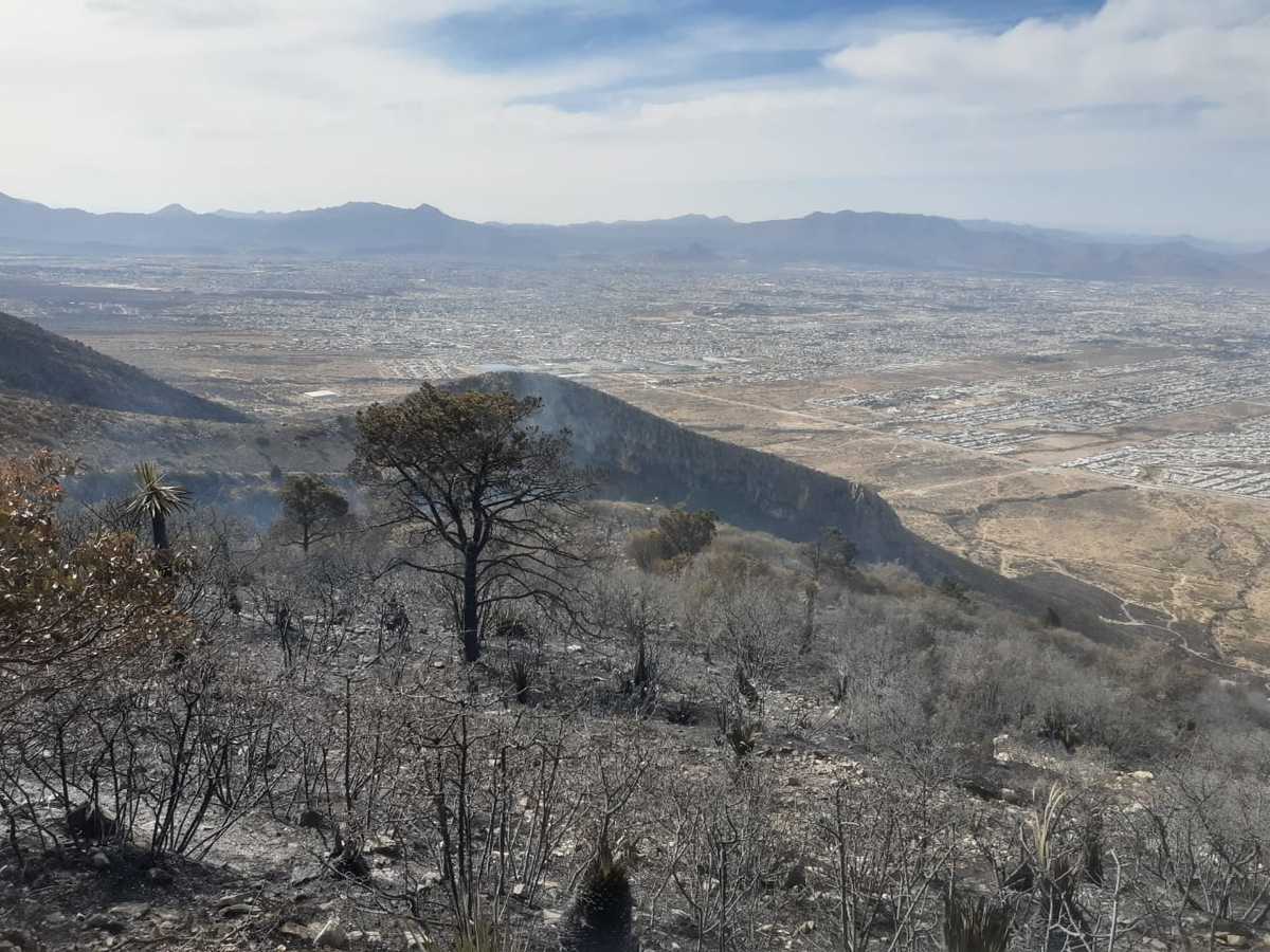 Se mantienen activos dos incendios en la Región Sureste de Coahuila. (Especial)