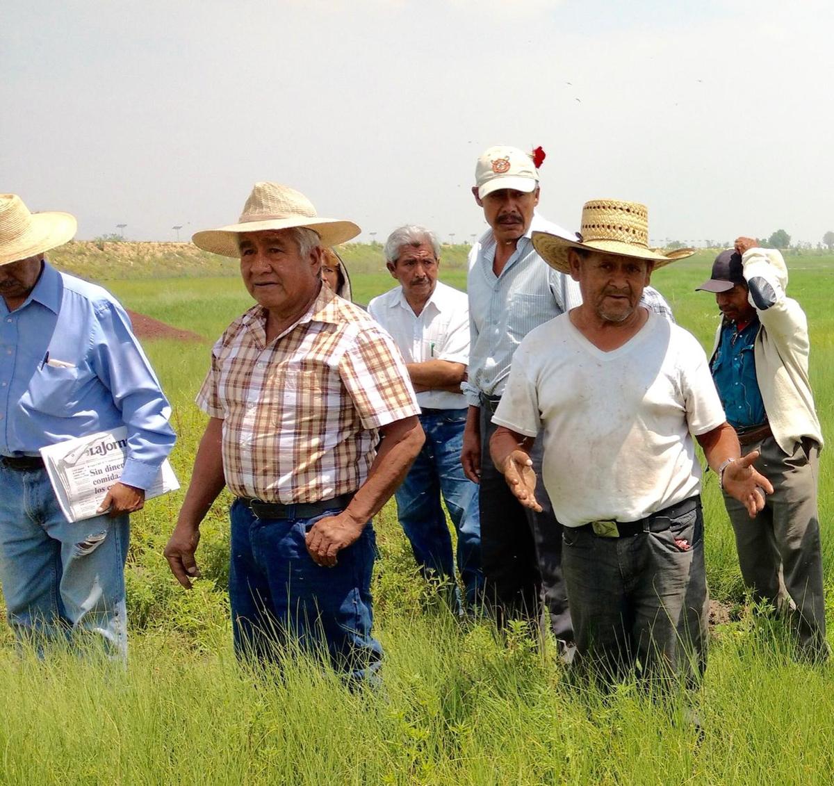 Participó para evitar la edificación del aeropuerto internacional de la Ciudad de México en el ex lago de Texcoco.. (Especial)