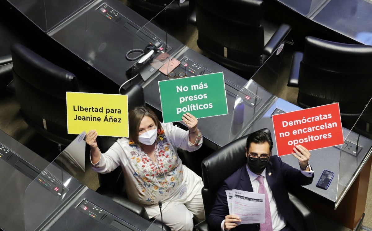 Los senadores del PAN hicieron un llamado al gobierno de Bolivia para realizar un juicio justo a Jeanine Áñez. | Especial