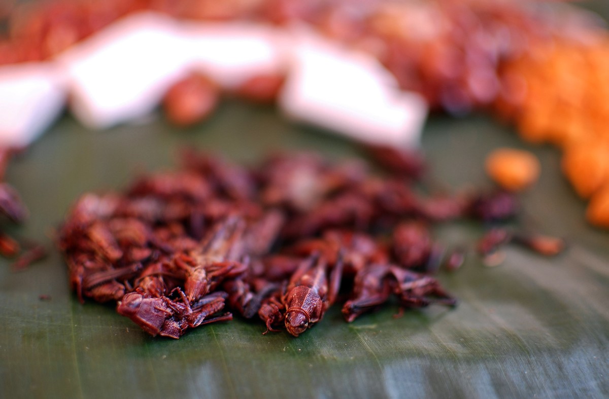 Comida típica de Oaxaca | Cuartoscuro