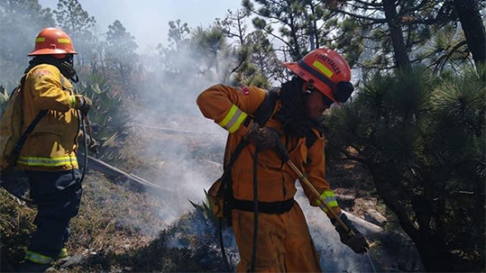 Conafor reporta 75 incendios forestales en 20 estados del país