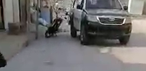"Le dieron a doña Luz, le dieron a mi mamá, te vas a morir perro".