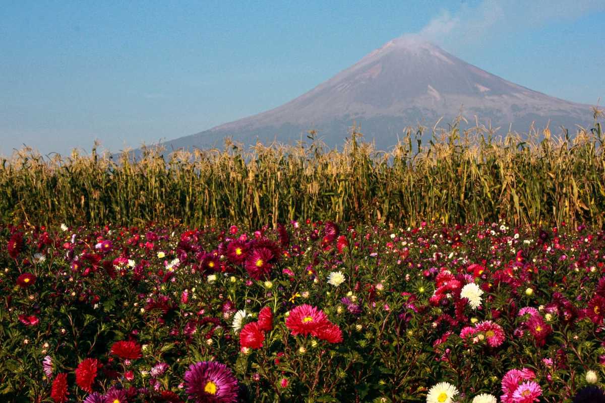 Atlixco, se ubica a las faldas del volcán Popocatépetl. (Andrés Lobato)