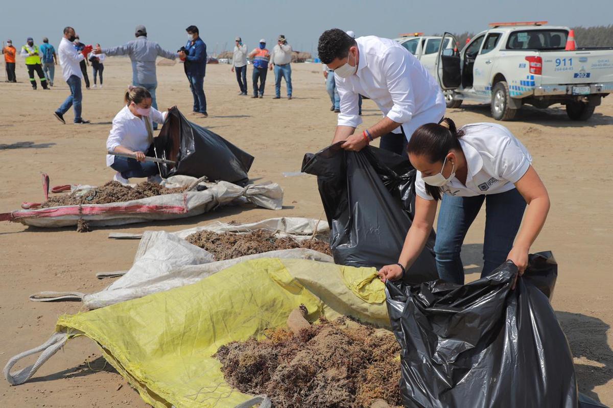 Diputados locales y funcionarios municipales recolectaron sargazo y basura en el paseo turístico.
