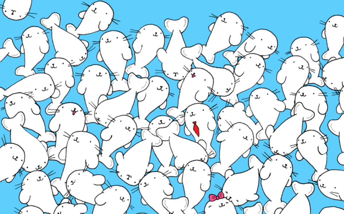 Encuentra en bombón entre las focas (Dudolf).