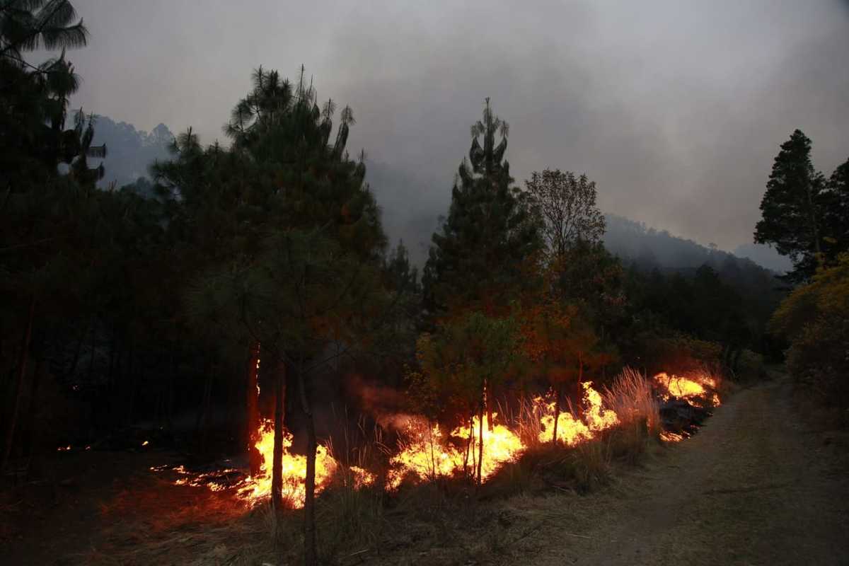 Fuera de control incendio en Ixtacamaxtitlan. (Andrés Lobato)