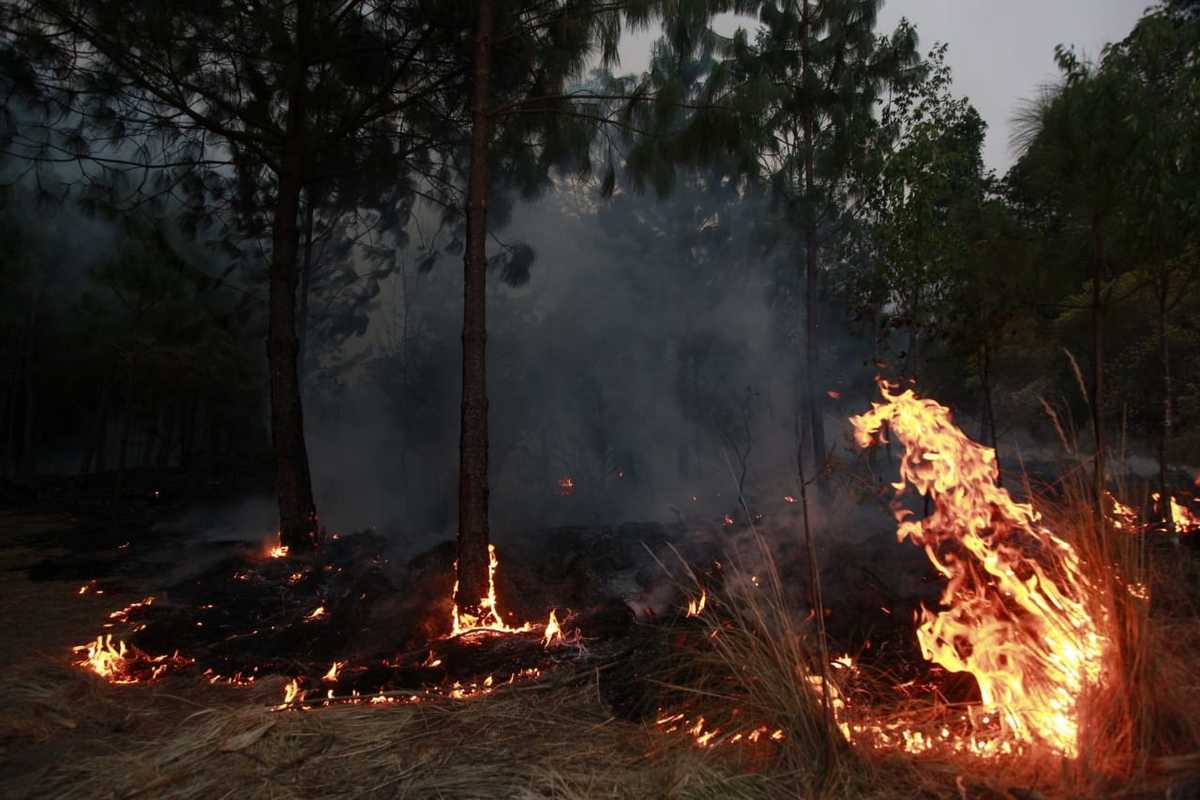 Fuera de control incendio en Ixtacamaxtitlan. | Andrés Lobato