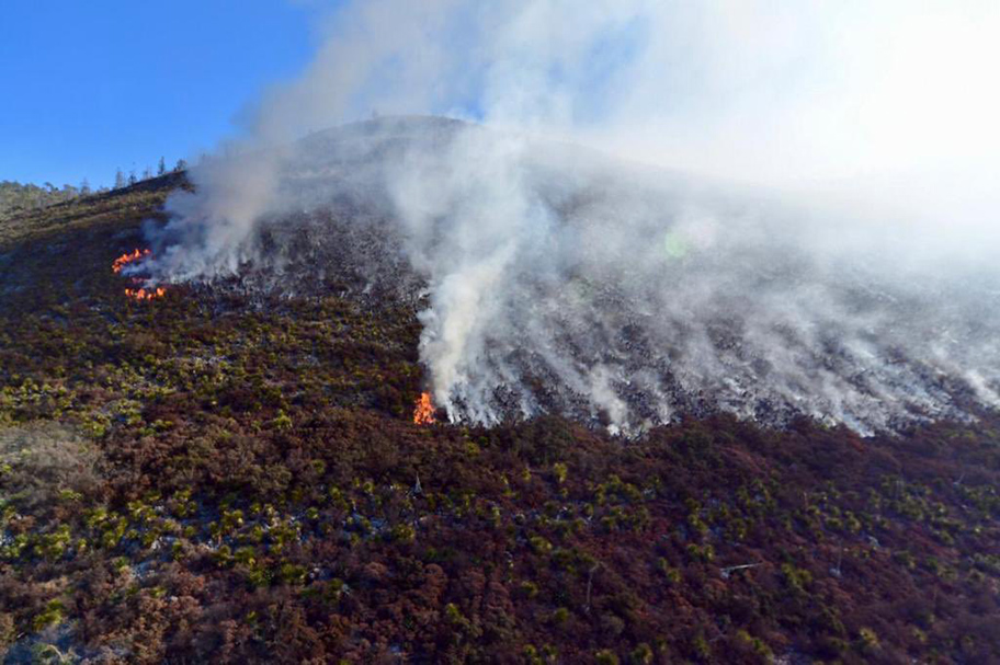 Incendio en Coahuila. (Cortesía Twitter)