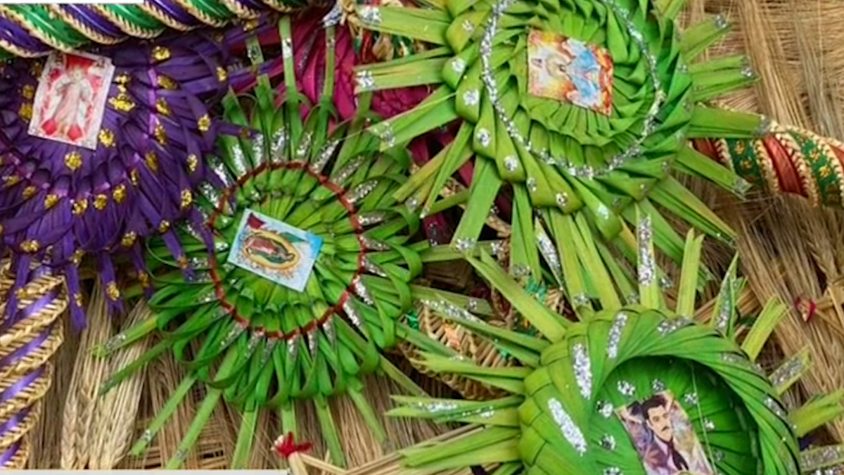Llegan las palmitas para el domingo de ramos a Veracruz