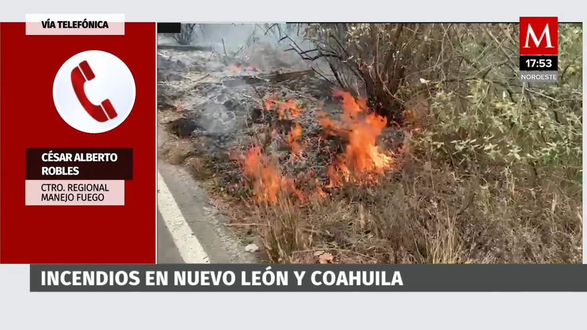 Avanza al 50% liquidación de incendio en sierra de Santiago, Nuevo León: Conafor